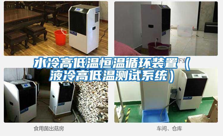 水冷高低溫恒溫循環裝置（液冷高低溫測試系統）