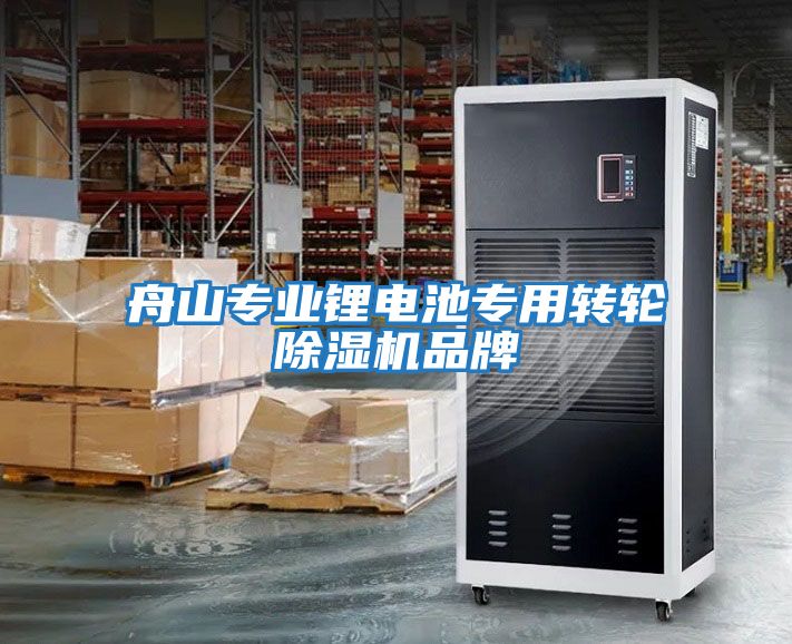舟山專業(yè)鋰電池專用轉輪除濕機品牌