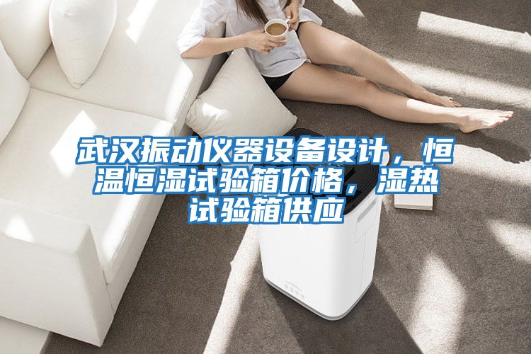 武漢振動儀器設備設計，恒溫恒濕試驗箱價格，濕熱試驗箱供應