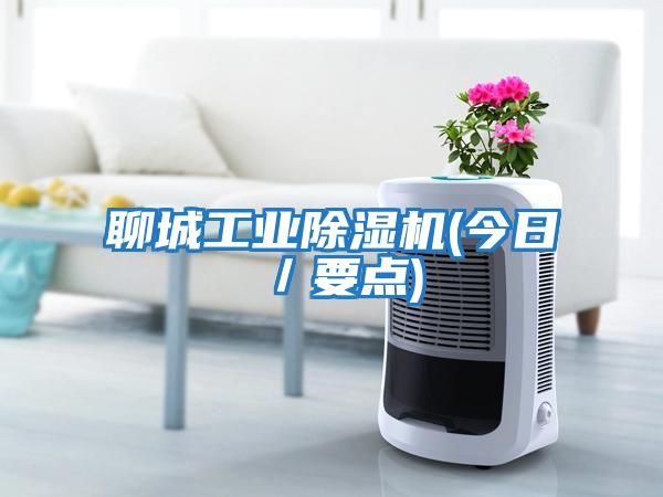 聊城工業除濕機(今日/要點)