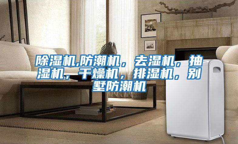 除濕機,防潮機,去濕機,抽濕機,干燥機,排濕機,別墅防潮機