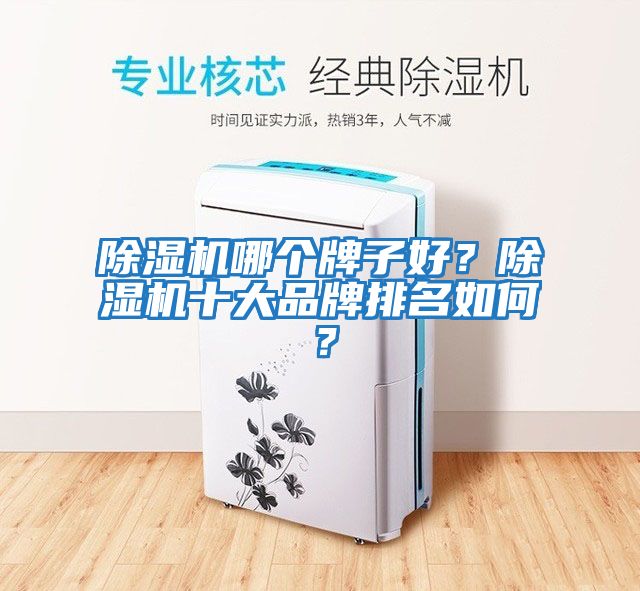 除濕機哪個牌子好？除濕機十大品牌排名如何？