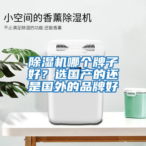 除濕機哪個牌子好？選國產(chǎn)的還是國外的品牌好