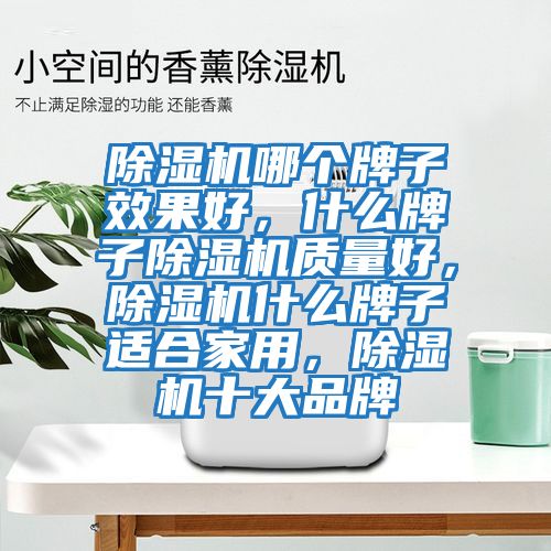 除濕機哪個牌子效果好，什么牌子除濕機質(zhì)量好，除濕機什么牌子適合家用，除濕機十大品牌