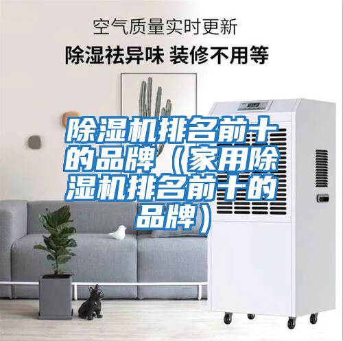 除濕機(jī)排名前十的品牌(家用除濕機(jī)排名前十的品牌)
