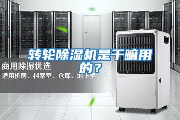 轉(zhuǎn)輪除濕機是干嘛用的？