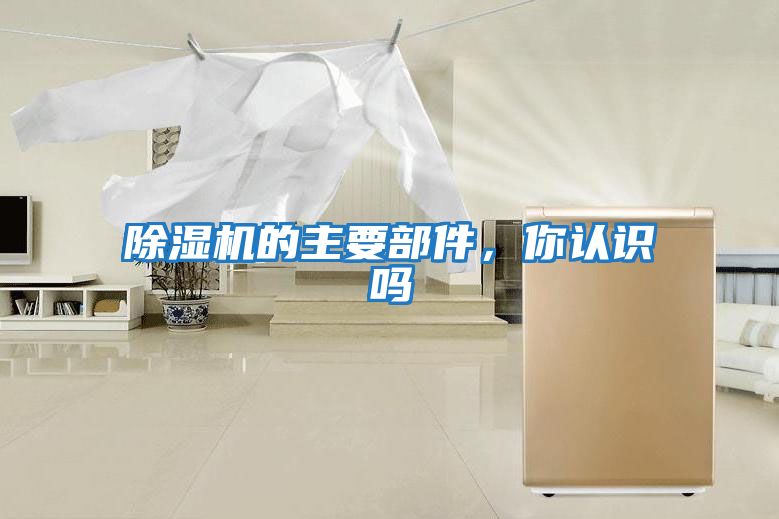 除濕機的主要部件，你認識嗎