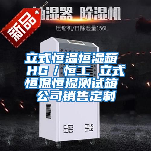 立式恒溫恒濕箱 HG/恒工 立式恒溫恒濕測(cè)試箱 公司銷售定制