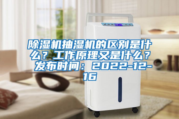 除濕機抽濕機的區(qū)別是什么？工作原理又是什么？ 發(fā)布時間：2022-12-16