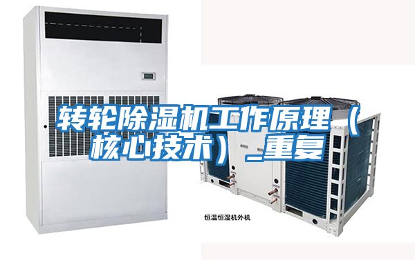 轉(zhuǎn)輪除濕機工作原理（核心技術(shù)）_重復
