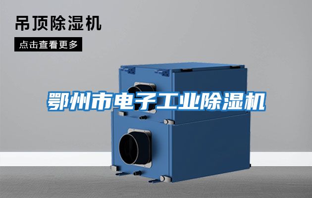 鄂州市電子工業除濕機