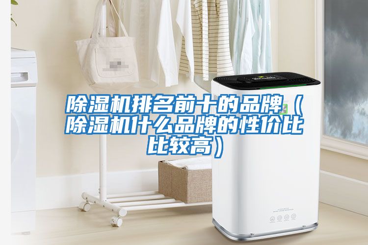 除濕機(jī)排名前十的品牌(除濕機(jī)什么品牌的性?xún)r(jià)比比較高)