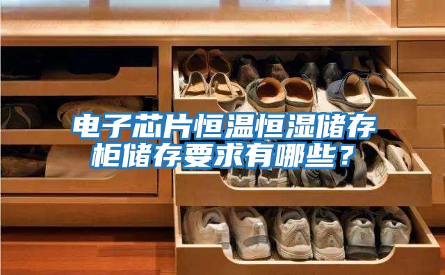 電子芯片恒溫恒濕儲(chǔ)存柜儲(chǔ)存要求有哪些?
