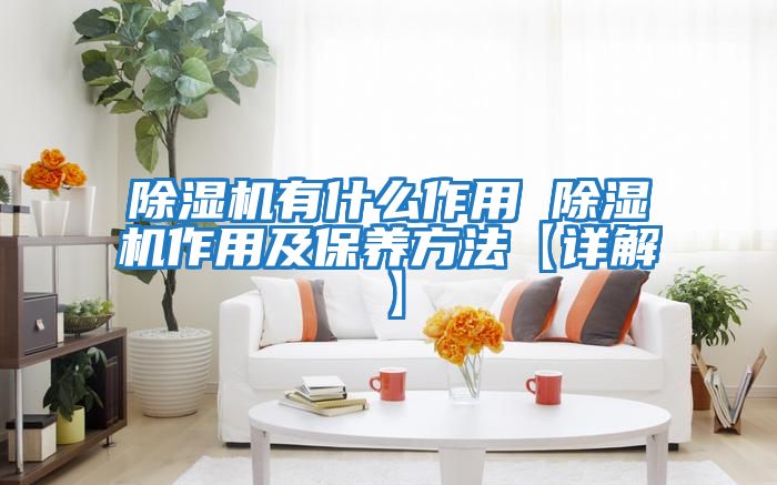 除濕機有什么作用 除濕機作用及保養方法【詳解】