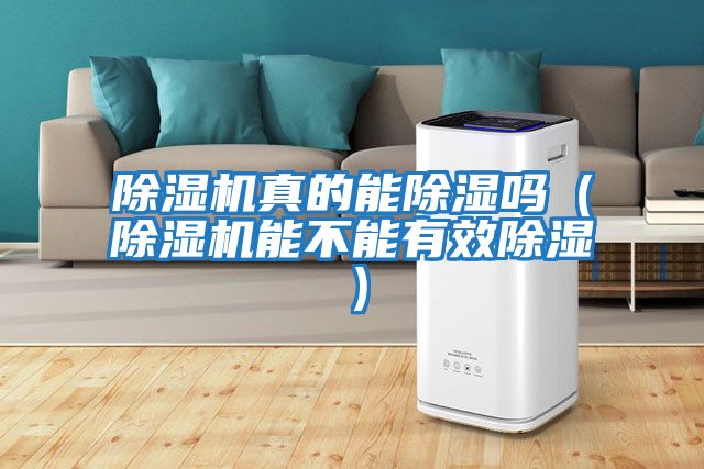 除濕機(jī)真的能除濕嗎(除濕機(jī)能不能有效除濕)