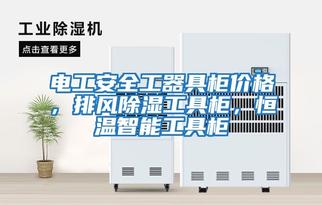 電工安全工器具柜價(jià)格,排風(fēng)除濕工具柜,恒溫智能工具柜