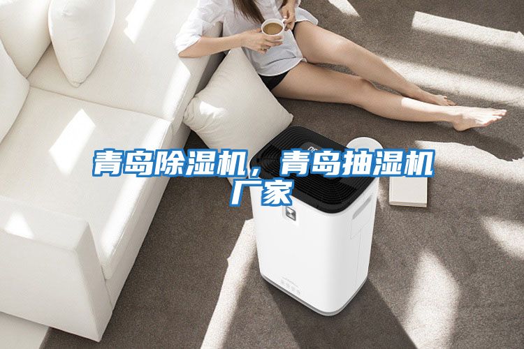 青島除濕機(jī),青島抽濕機(jī)廠家