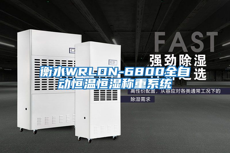 衡水WRLDN-6800全自動恒溫恒濕稱重系統