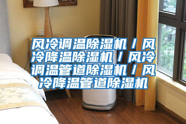風冷調溫除濕機/風冷降溫除濕機/風冷調溫管道除濕機/風冷降溫管道除濕機