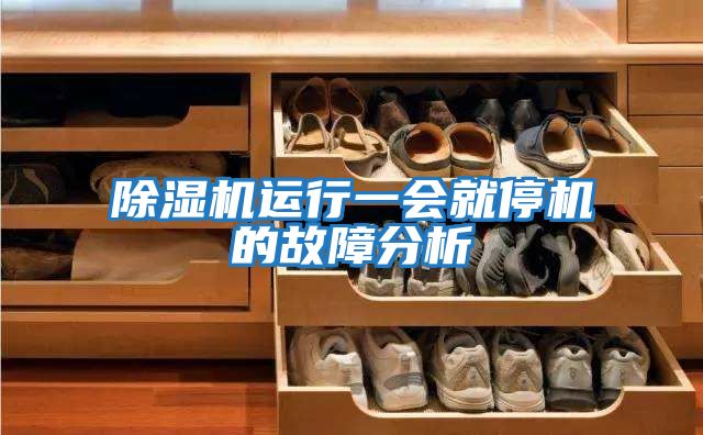 除濕機(jī)運(yùn)行一會就停機(jī)的故障分析